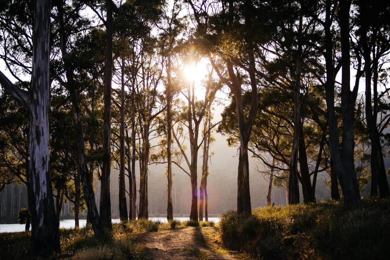 Currawong Lakes Tasmania Lake Leake ภายนอก รูปภาพ
